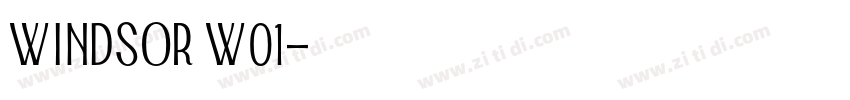 Windsor W01字体转换